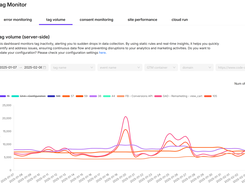 Server-side tag monitoring