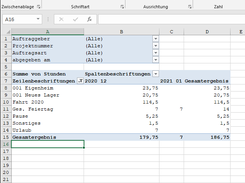 Projektübersicht als Pivot-Table