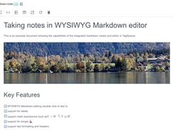 The markdown editor in action