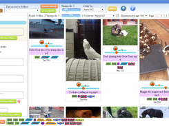 Video previews