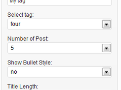 Tag Widget Options