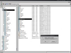 Default theme, file deletion confirmation on progress