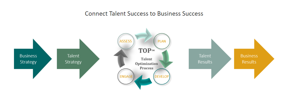 Talent Snapshot Screenshot 1