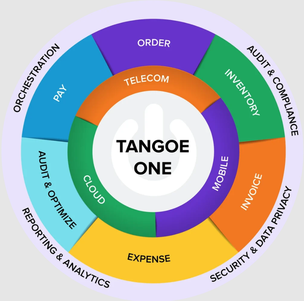 Tangoe Screenshot 1