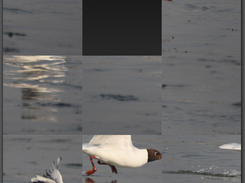 TaquinProject Screenshot 1