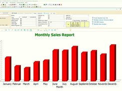 Track and analyze monthly sales performance with detailed reports