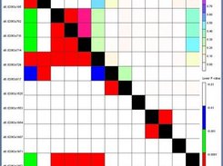 Linkage Disequilbrium Display