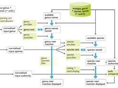 Taxamatch workflow:  block diagram