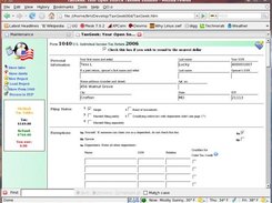 Form 1040 Interface
