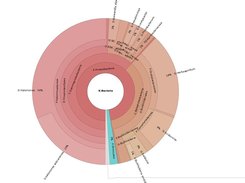 Assignment GreenGenes