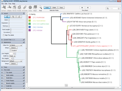 Tree colored after distinct families