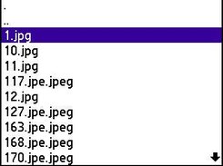 VFS file list form