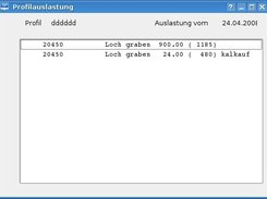 Die Anzeige der Profilauslastung