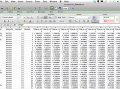 Formatted expression data