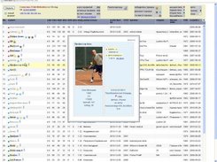 Profiles stats list and a profile box in Chrome