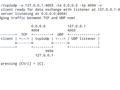 tcp2udp Screenshot 1