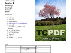 Generic TCPDF screenshot