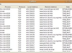 Listing of all TCP and UDP endpoints