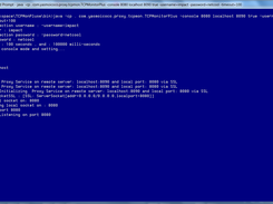 Console Mode with authentication and timeout