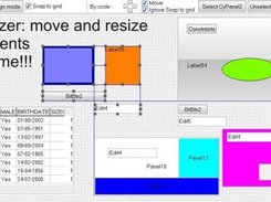 TcyResizer : move/resize controls at runtime.