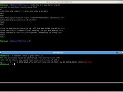 Client connects, sends and receives data from an IPv6 server