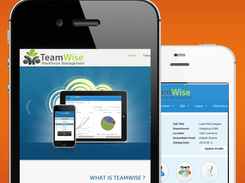 TeamWise Screenshot 2