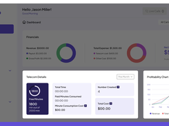 Teldrip Insights Financials