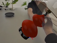 Teledomica Screenshot 3