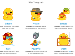 Telegram Software: Most Up-to-Date Encyclopedia, News & Reviews