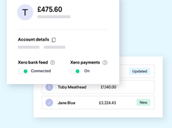 Telleroo Bulk Payments Screenshot 1