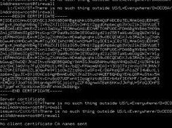 sslinfo command