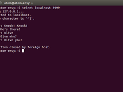 telnet client disconnected after conversation