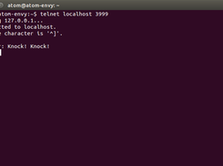 telnet client connected to server