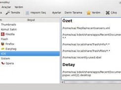 temizlikci-ekran-goruntusu-0.2