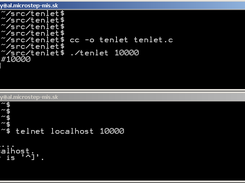 telnet server
