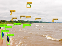 TensorFlow Model Garden Screenshot 1