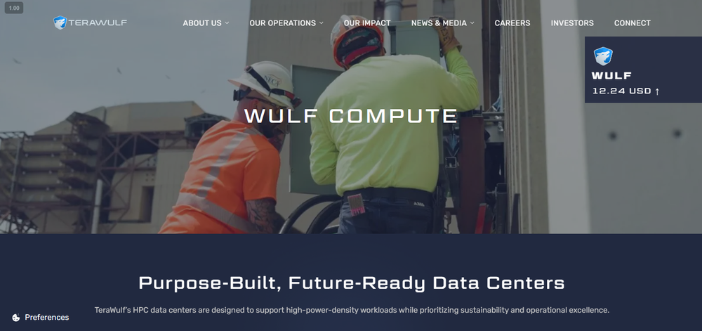 TeraWulf Screenshot 1