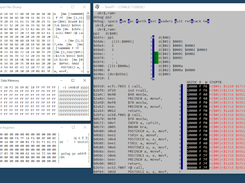 TermFF. VT100 escape sequences. Auxiliary supervision window, controlled by the remote device.