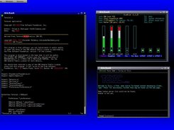 vim alsamixer toxic
