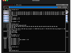 Termshark Screenshot 1