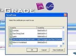 4. Select user certificate in Internet Explorer