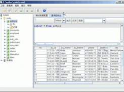 MainFrame SQL QueryPanel