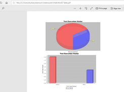 Report Screen Shot 2