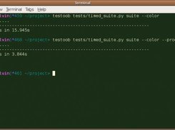 Saving time time with multi-process test running
