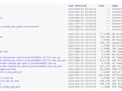 testssl.sh Screenshot 1