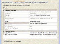 Component properties window.  The RegEx pattern must be set