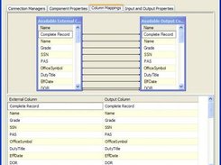 Shows the column mappings tab