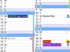 The Calendar Pro Screenshot 1