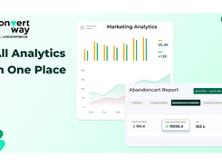 Real Time Analytics for Better ROI Tracking