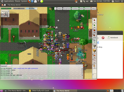 The Mana World Screenshot 1